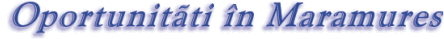 banner.gif (11708 bytes)
